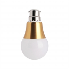 Type 4: E27 B22 Gloden Cover LED Globe Bulb