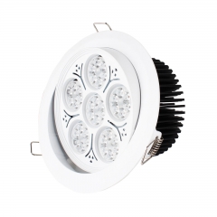 LED Ceiling Downlight Lamp Recessed Down Lights Bright 30W 35W 40W 220V + Driver