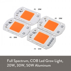 Ranpo LED COB Chip Floodlight 20W 30W 50W Smart IC Driver Grow Lamp Plant 110v 220v