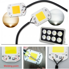 Ranpo LED COB Chip Floodlight 20W 30W 50W Smart IC Driver Grow Lamp Plant 110v 220v