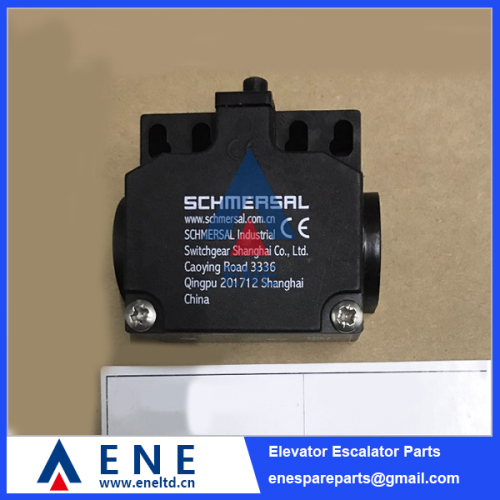 TS256-11Z-M20 Escalator Limit Switch