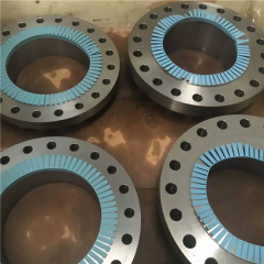 Stainless Steel Welding Neck Flange WNRF