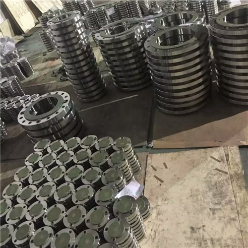 SUS304 JIS 10K Stainless Steel Flange