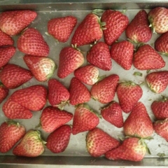 Freeze-dried Strawberry