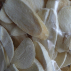 Freeze-dried Garlic