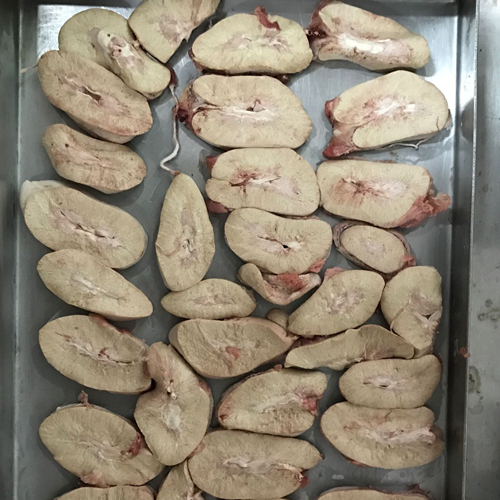 Freeze-dried Pork kidney