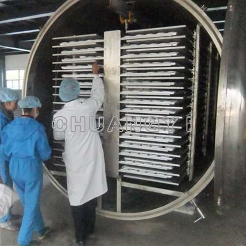 ZG-125m² Large-scale Freeze Dryer (1250kg/batch)