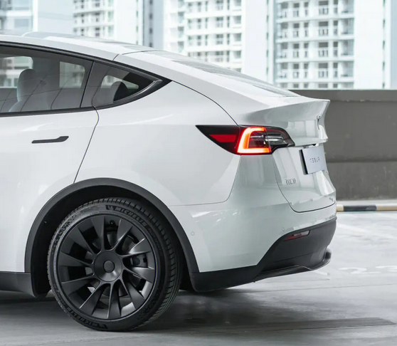 Model Y Center Cap