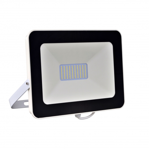 LED Flood Light, FL-01-50