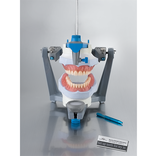 removable-full acrylic denture set up for try in