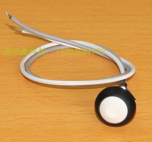 PAS6 with wire round without lock white waterproof button switch reset button often open Taiwan M12