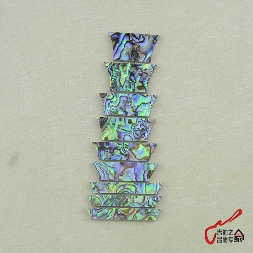 - - EPI LP electric guitar fingerplate Pinji grade true color mosaic abalone shell