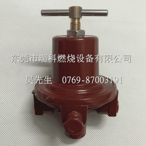 Currently Available Supply High Rego 597FB Level Gas Regulator   America High Rego Red Pressure Regulator