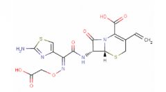 Cefixime(CAS: 79350-37-1)