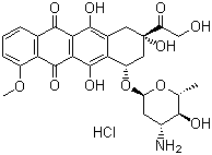 Epirubicin HCL(CAS:56390-09-1)