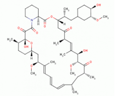 Sirolimus(CAS:53123-88-9)