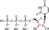 Uridine 5-Triphosphate Trisodium Salt(CAS:19817-92-6)