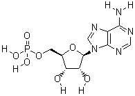 Adenosine 5'-Monophosphate(CAS:61-19-8)