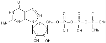 Guanosine 5-(Tetrahydrogen Triph)(CAS:56001-37-7)