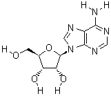 Adenosine(CAS:58-61-7)