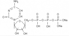 Cytidine 5-(Tetrahydrogen Triphos)(CAS:36051-68-0)