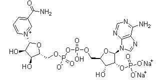 Beta-Nicotinamide Adenine Dinuclotide Phosphate(CAS:24292-60-2)