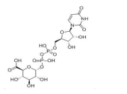 Uridine Diphosphoglucuronic Acid(CAS:2616-64-0)