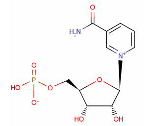 Beta-Nicotinamide Mononucleotide(CAS:1094-61-7)