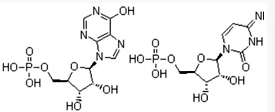 Polyinosinic-polycytidylic Acid Sodium Salt(CAS:42424-50-0)