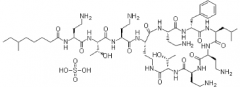 Polymyxin B Sulfate(CAS:1405-20-5)