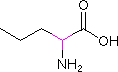 L-Norvaline(CAS:6600-40-4)