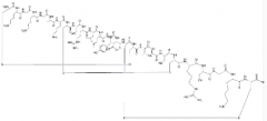 Ziconotide Acetate(107452-89-1)