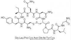 Oxytocin Acetate(CAS:50-56-6)