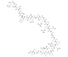 Secretin Acetate(CAS:17034-35-4)