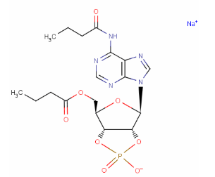 DBcAMP-Na(CAS:16980-89-5)