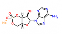 Adenosine-3',5'-Cyclic Monophosphate Sodium Salt(CAS:37839-81-9)