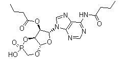 Calcium Dibutyryl Adenosine Monophosphate(CAS:362-74-3)