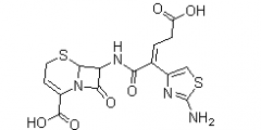 Ceftibuten(CAS;97519-39-6)