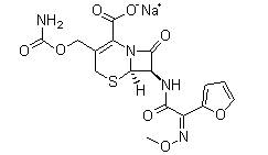 Cefuroxime Sodium(CAS:56238-63-2)