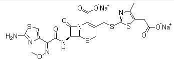 Cefodizime Sodium(CAS:86329-79-5)
