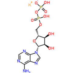 Adenosine 5'-diphosphate Monopotassium Salt(CAS:72696-48-1)