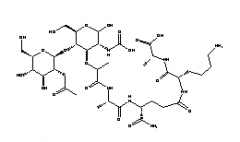 Lysozyme(CAS:12650-88-3)