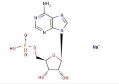 Adenosine 5'-Monophosphate Monosodium Salt(CAS:13474-03-8)