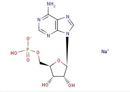 Adenosine 5'-Monophosphate Monosodium Salt(CAS:13474-03-8)