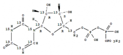 Uridine 5'-Triphosphate Disodium Salt(CAS:285978-18-9)