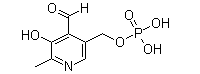 Pyridoxal 5'-Phosphate Anhydrous(CAS:54-47-7)