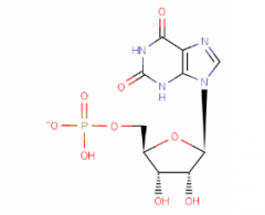 Xanthosine 5'-Monophosphate Disodium Salt(CAS:25899-70-1)