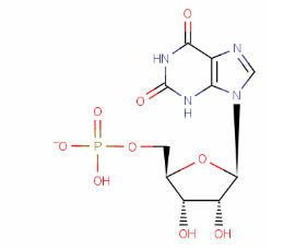 Xanthosine 5'-Monophosphate Disodium Salt(CAS:25899-70-1)