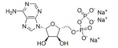 Adenosine 5'-diphosphate Monosodium Salt(CAS:20398-34-9)