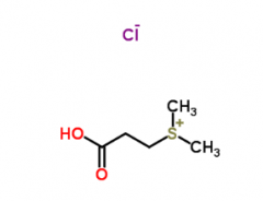 Dimethylpropiothetin(DMPT)(CAS:4337-33-1)